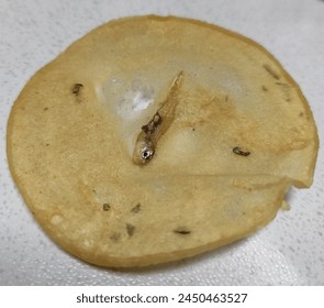 嘀嗒影视在线免费观看：畅享海量高清影片，随时随地尽情观影
