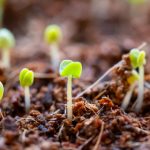 探索1024论坛:技术交流与知识分享的聚集地 18119yd0