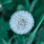 探索欧美日韩一区二不卡三区的影视资源与文化魅力 ncz2sujalk